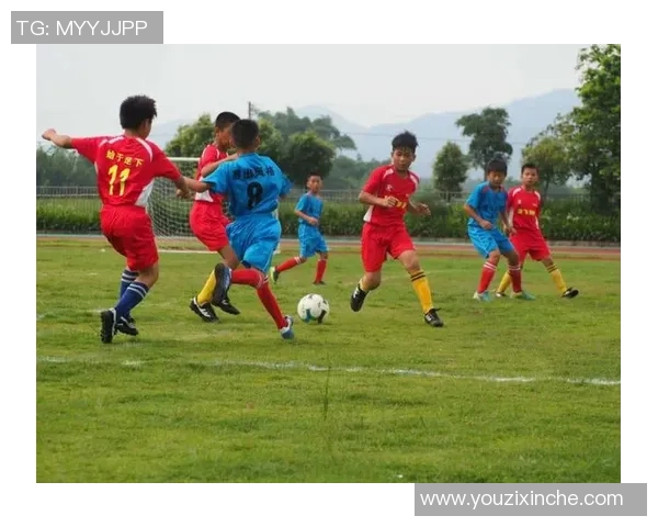 成都足球队的拼搏历程与荣耀时刻全景回顾